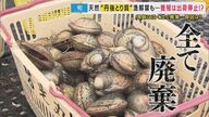 10万個以上を泣く泣く廃棄…京のブランド「丹後とり貝」を襲う「下痢性貝毒」　解決策見えず地元漁師からは悲鳴