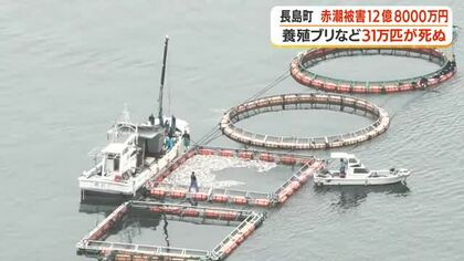 赤潮被害12億8000万円　長島町で養殖ブリなど31万匹が死ぬ【鹿児島】