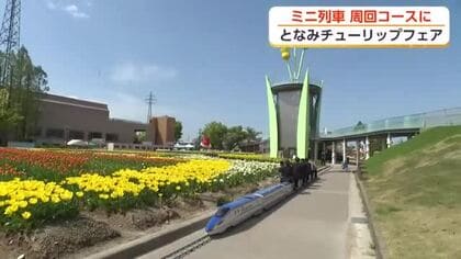 となみチューリップフェア、ミニ列車が今年初の「周回コース」に　満開見込みの25・26日運行