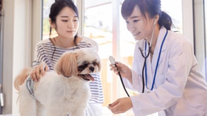 ペットの健康についての消費者調査