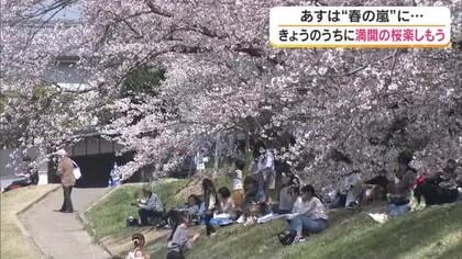 明日の瀬戸内は雨が降る予報…満開の桜に貴重な青空の下　岡山さくらカーニバルは花見客でにぎわう【岡山】