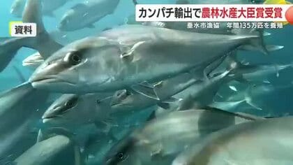 「『涙が出た』垂水漁協、カンパチ輸出で農水大臣賞　アメリカ中心の販路拡大と次の挑戦へ