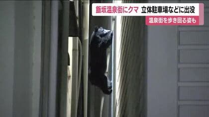 温泉街の立体駐車場に居座った熊　建物から建物へ　歩き回って10時間後に近くの川へ　福島市・飯坂温泉