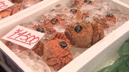 ホッケも魚卵セットもスーパーよりお得!? 海産物が“驚きの安さ”で市民大満足　「道産水産物応援デー」札幌中央卸売市場の24店舗が特別開放 北海道札幌市