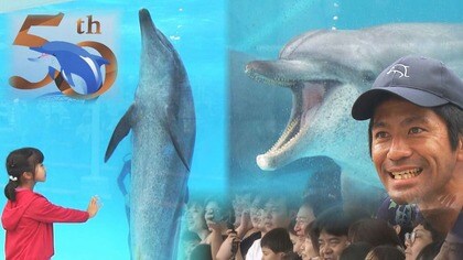 美ら海水族館のスター・オキちゃんとムク　50年の軌跡