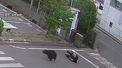 「クマが逃げております」男女4人襲った“居座り熊”　工場敷地から逃走　近隣の小・中学校は臨時休校　福島市