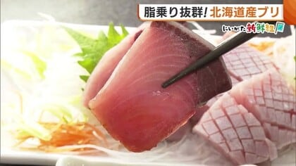脂のり抜群！北海道産“ブリ”の水揚げ始まる 刺身はもちろん寒い時期にうれしい“ブリ大根”や“しゃぶしゃぶ”も◎