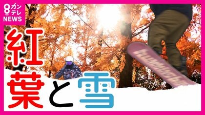 総額21億円以上「日本初の機械」導入のスキー場　フワフワ繊細な雪を触った人は思わず「ユキー場！」昨シーズン30日しか営業できず大きな投資