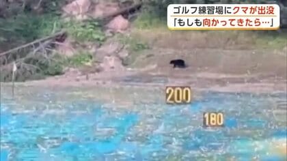 「もしも向かって来たら…」一時騒然　秋田市のゴルフ練習場にクマ　ボールに動じることなく悠々と林へ