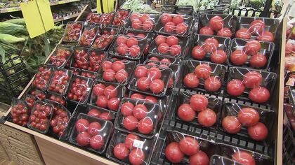 【連日猛暑】スーパーで野菜の価格と品質に悪影響も今の買い食材は？熟したトマトにトウモロコシも＿豚肉は高騰続くか「利益度外視で売っている」