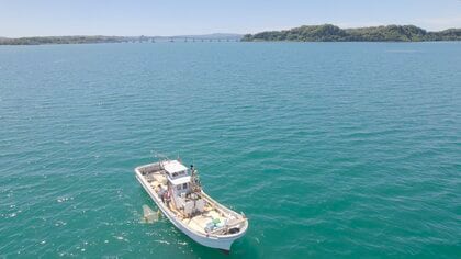 日本沿岸におけるマイクロプラスチック汚染の実態を明らかにする最新研究