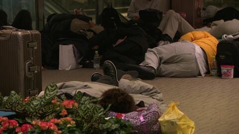 真冬の新千歳空港が「陸の孤島」に―その時、何が起きていたのか？「記録的豪雪」で約7000人が空港で一夜を明かす異例の事態が発生…JR・高速バスは運休し交通網が寸断 市民生活を直撃する大混乱〈北海道〉