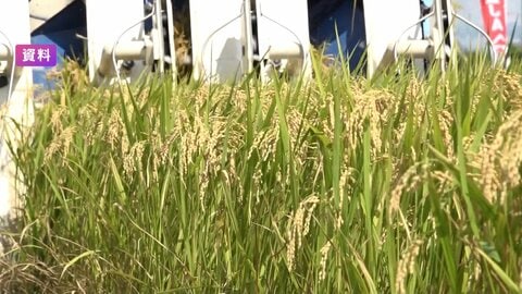 コメ価格は値下がりの見通し　向こう3カ月の価格見通しを示す指数は「28」
