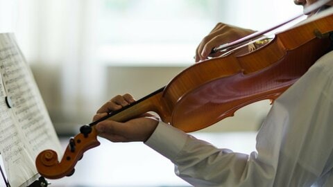 才能は生まれつき？それとも努力で伸ばせる？スウェーデンの双子研究が示した「素質に合う場所」を見つける大切さ