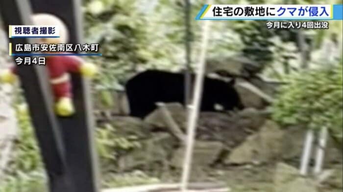 10月4日、住宅の敷地に侵入するクマ(視聴者撮影)