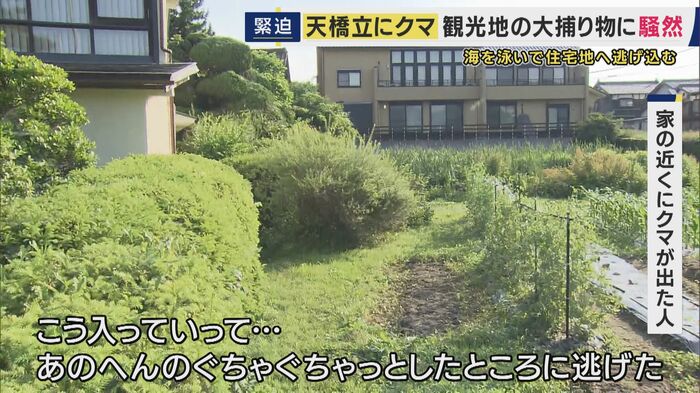 海岸から住宅街に…