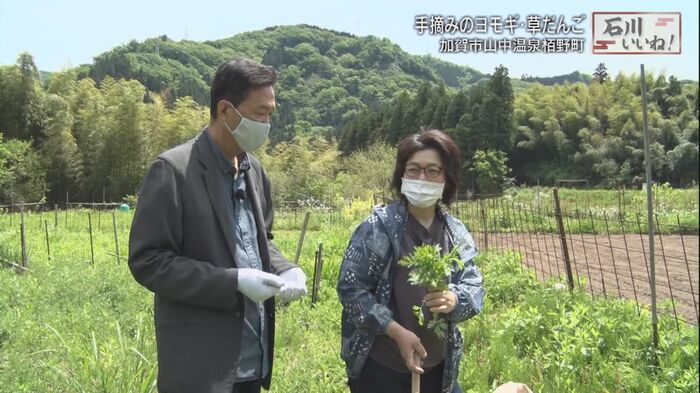 収穫作業に同行