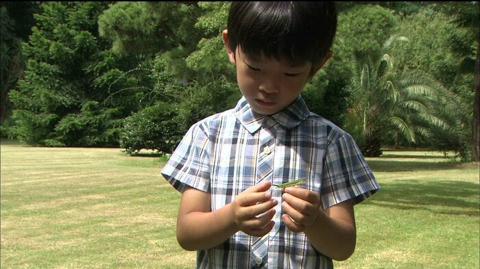 2012年9月 6歳のお誕生日映像