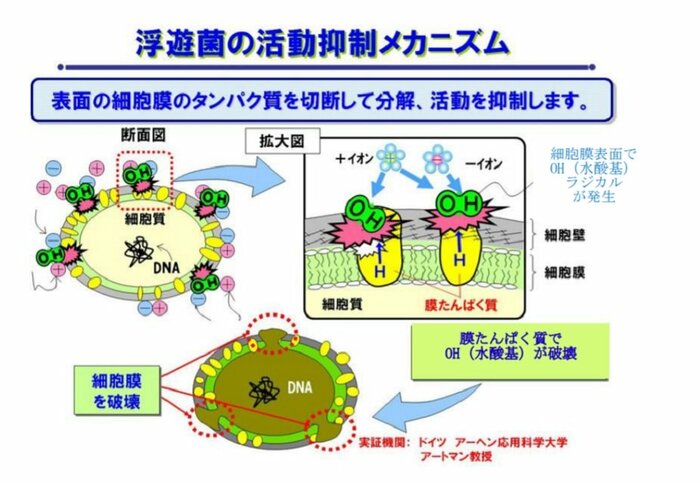 資料提供:シャープ