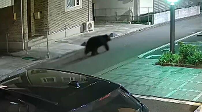 4月には仙台市中心部の住宅街にもクマが出没した