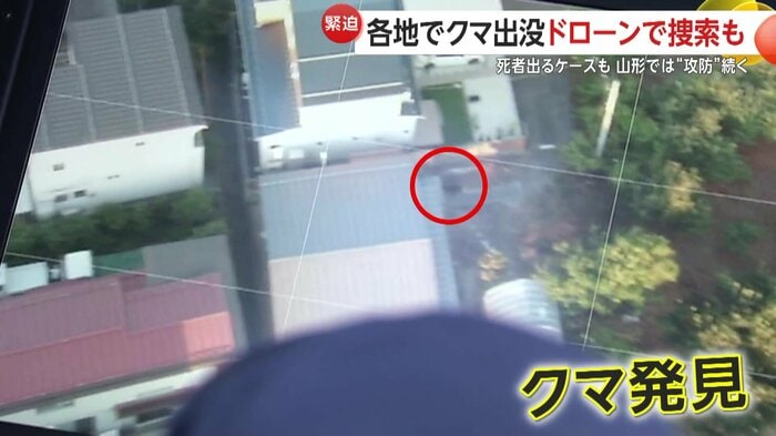 ドローンが捉えたクマの様子