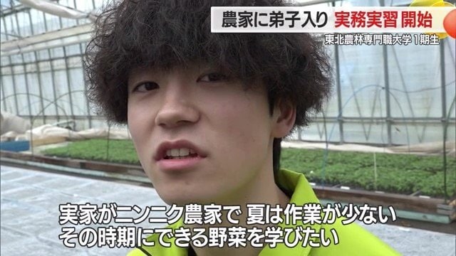 しっかりとした将来像を描き、ニンニク農家がトマト農家に弟子入り