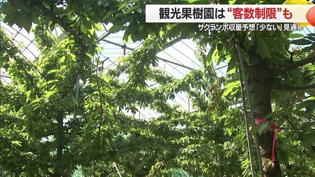 山形・上山市にある園地へ