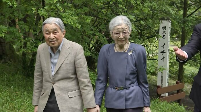 思い出の「イチイ」の木をご覧に 2024年5月