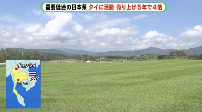 茶園のある国境の町チェンライ