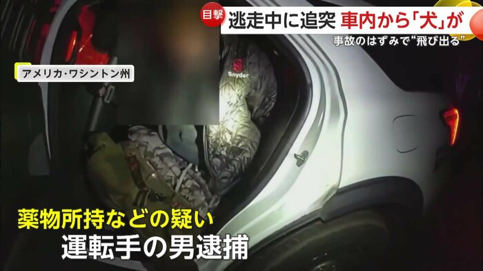 逮捕された運転手の男（Pierce County Sheriff's Office）