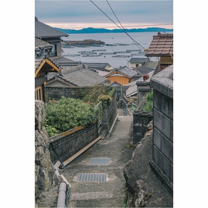 愛媛県愛南町・中泊（2024年2月撮影）