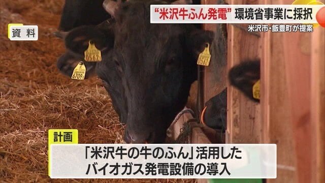 ウシの排泄物を利用したバイオガス発電・ペレット肥料の生産などに期待