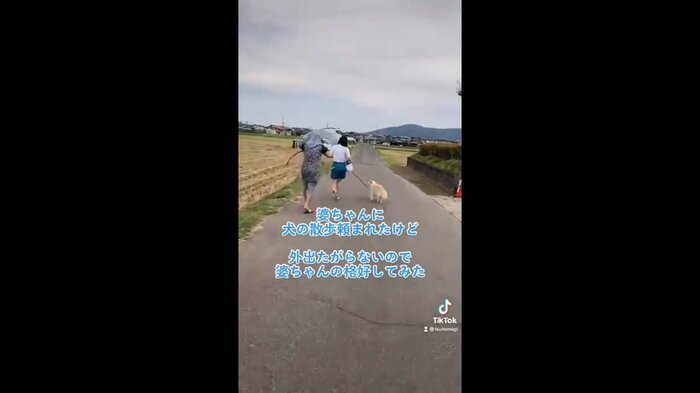 変装した「つぼた」さんと散歩を楽しむももちゃん