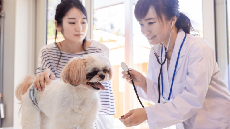 ペットの健康についての消費者調査