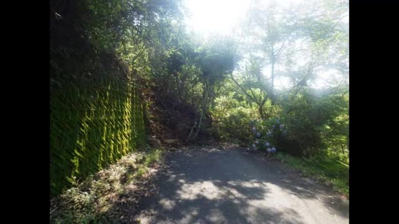 愛南の道路で土砂崩れ　全面通行止めに　中心部と一本松エリア結ぶコミュニティーバス当面う回運行【愛媛】｜FNNプライムオンライン