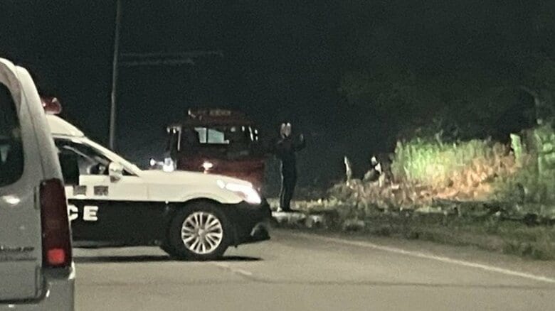 【ヒグマ速報】”体長約170cm”1頭目撃…警戒中の警察官が遭遇→追跡したが再び山の中に…行方わからず―人を襲った個体かは不明＜北海道福島町＞｜FNNプライムオンライン