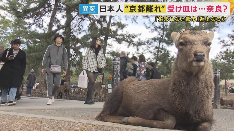 1泊20万円はざら　京都から日本人が消える…受け皿は高市首相の地元、奈良　でも夜7時には人がいない...「夜早すぎ問題」克服がカギ｜FNNプライムオンライン