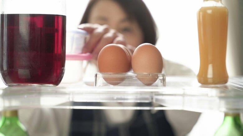 冷蔵庫は夏こそ使い方が大切！何気ない習慣で“カビだらけ”のリスク…清潔に保つ3つのコツと食品管理術｜FNNプライムオンライン