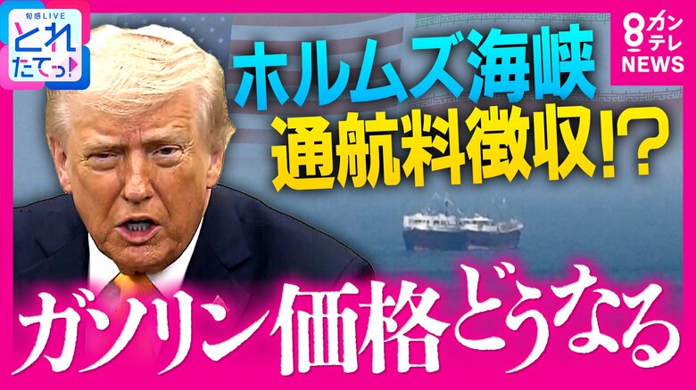 再び「ガソリン価格上昇」の可能性も？　イラン側が停戦条件に挙げる「ホルムズ海峡の通航料」トランプ大統領が「共同作業で徴収する可能性」発言　『反対』の国も多い中｜FNNプライムオンライン