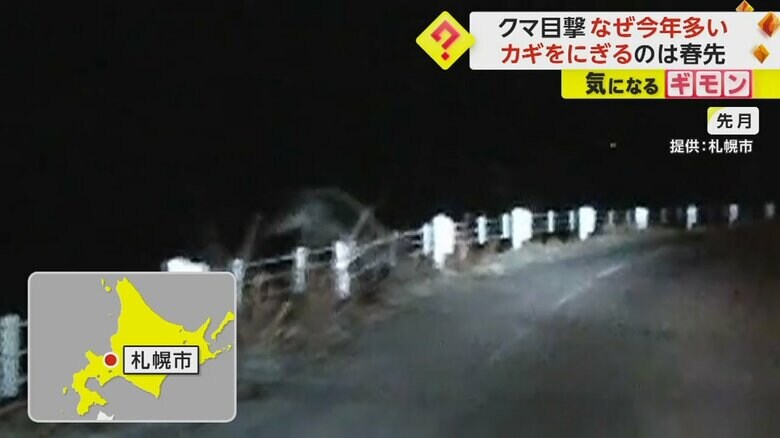 道路を横切るクマ