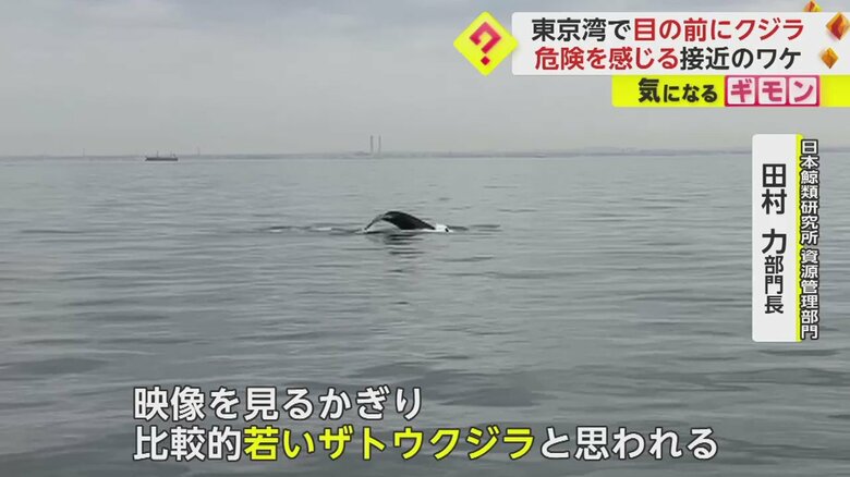 (画像:ビデオポスト(視聴者投稿映像)より)