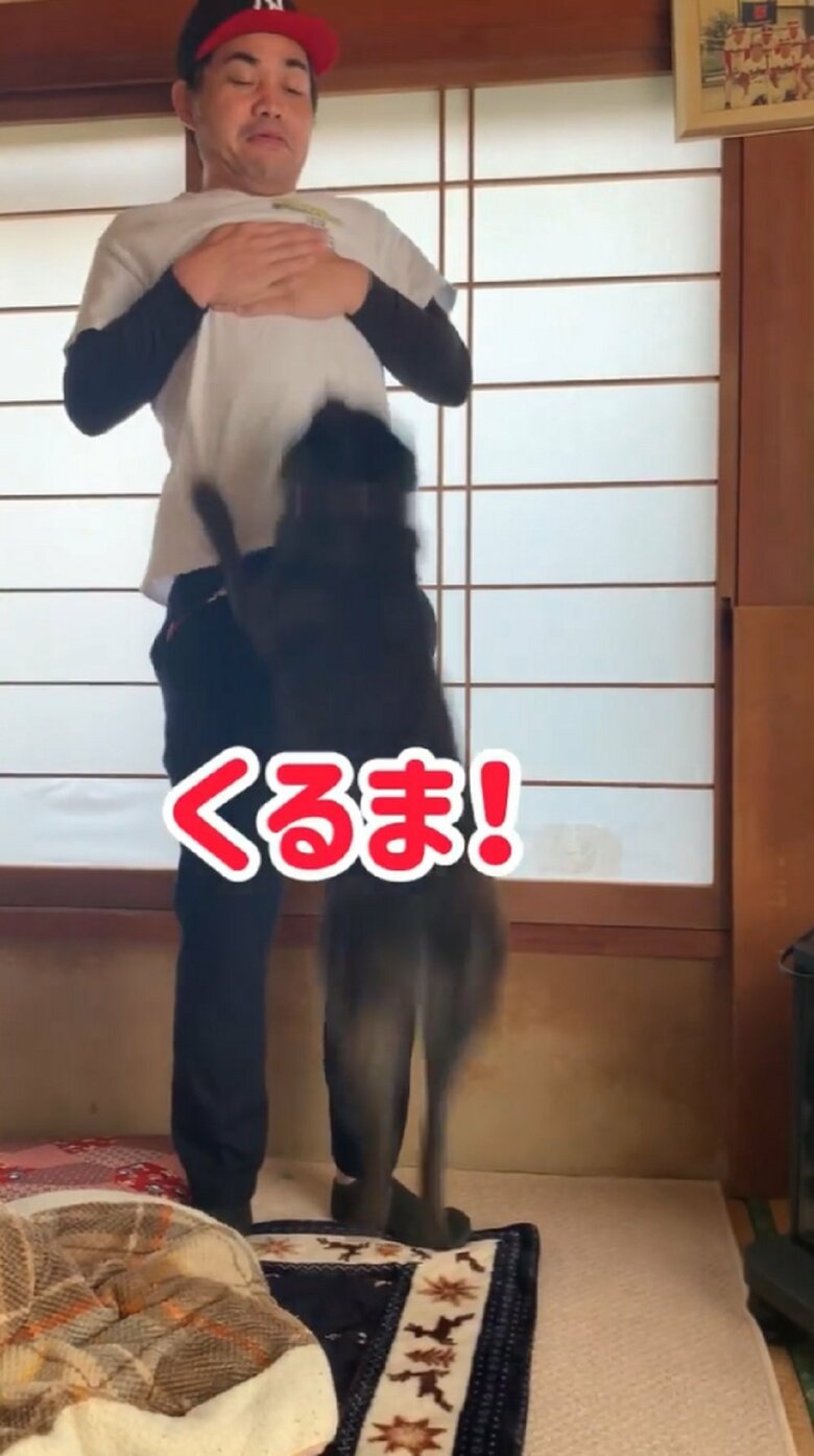 ドライブが大好きなななちゃん