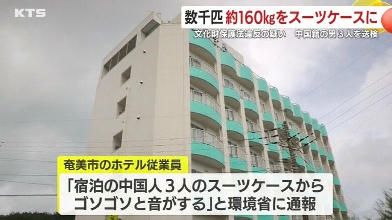 3人が宿泊した奄美市のホテル