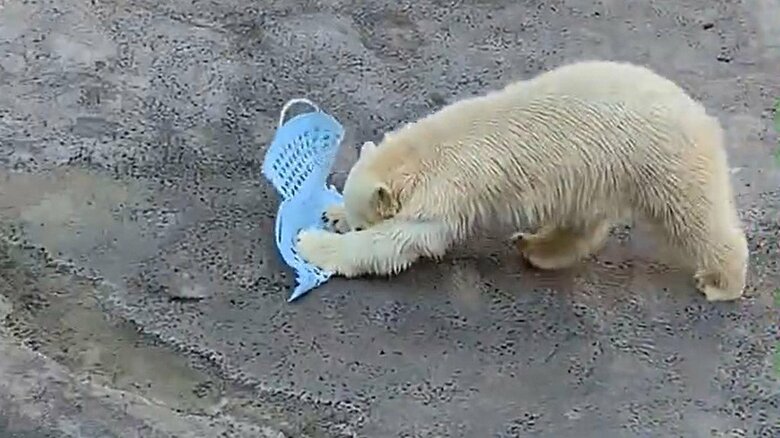 雑巾がけのような遊びにハマっている（提供：松本さん）