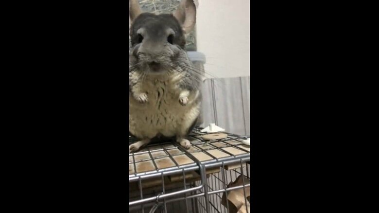 すぐに横に置いてしまった