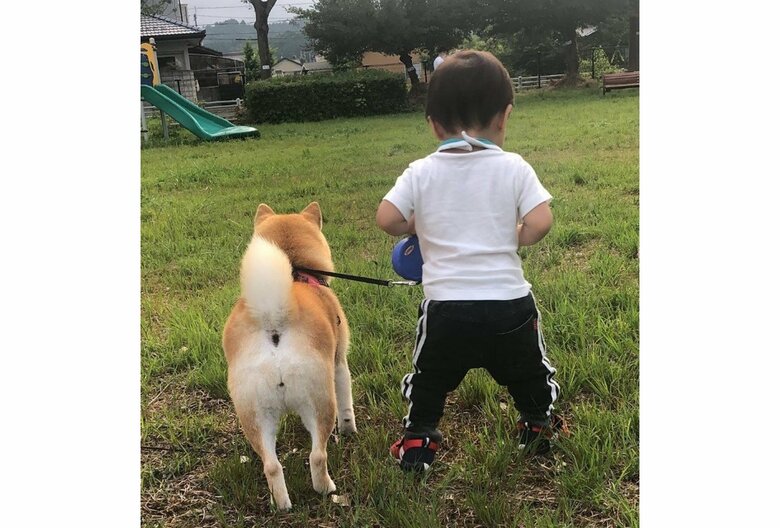 提供：yasumi.219さん
