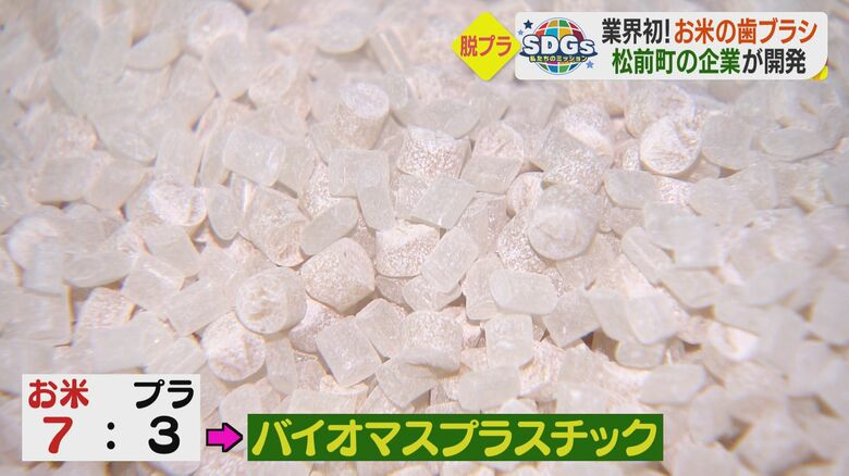 廃棄米を配合したバイオマスプラスチック