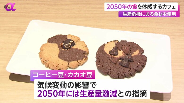 「2050年カフェ」で提供されるチョコチップが少しだけのクッキー