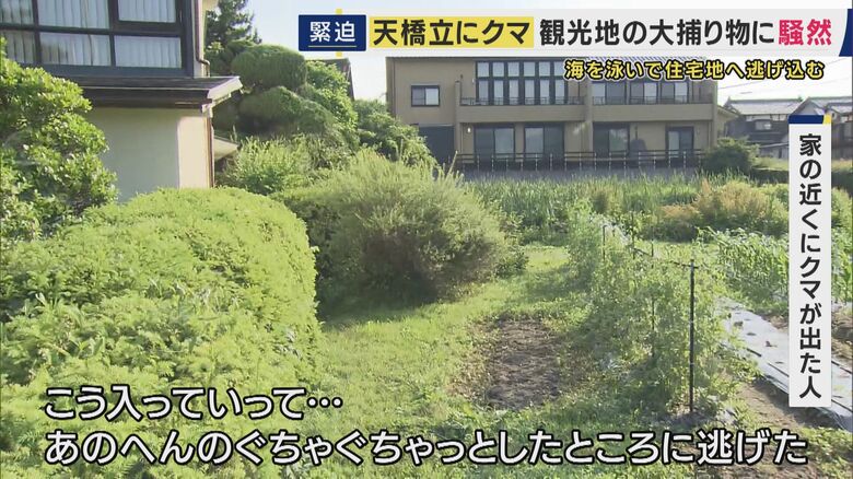 海岸から住宅街に…