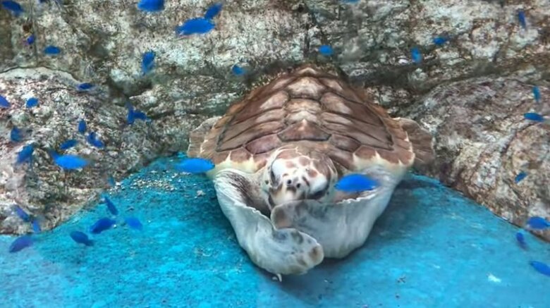 “両手”を器用に使って…